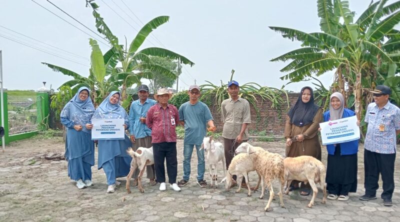 peluncuran-program-peternak-unggul-di-demak-3