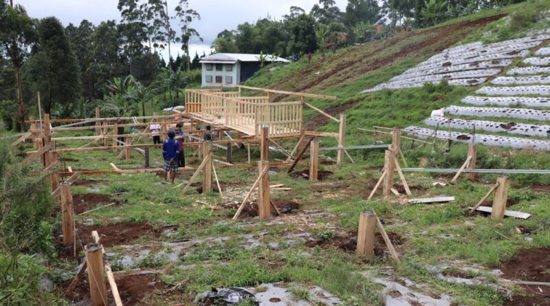 kandang kambing cijangel sepekan