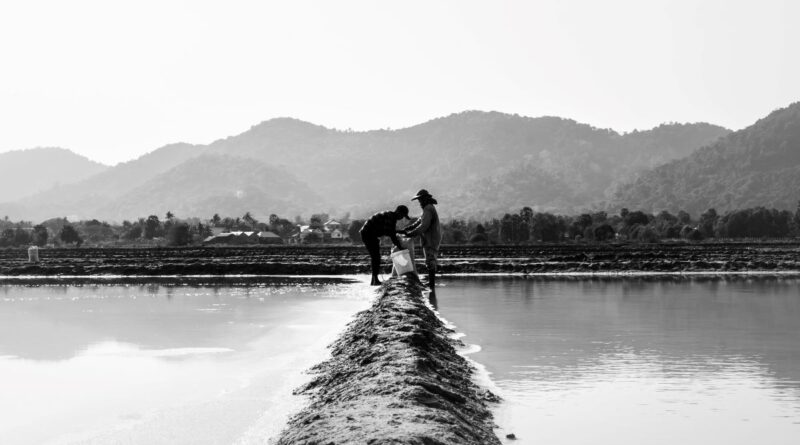 petani bekerja, rezeki dari Allah